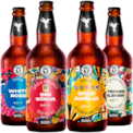 Kit Cervejas Stannis - Compre 3 Leve 4