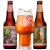 Assinatura Beer Pack - 2 Cervejas com 1 Copo Experience (Semestral)