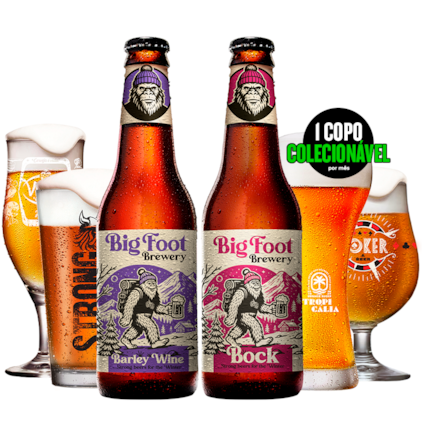 Imagem de Assinatura Beer Pack 2 Experience Semestral