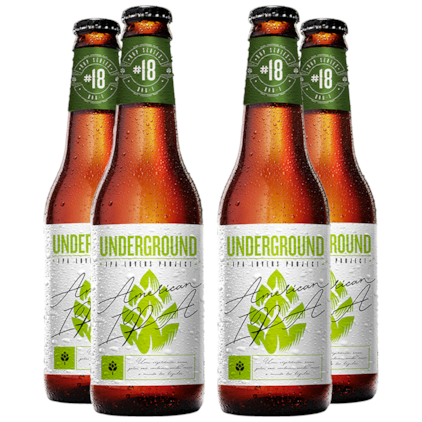 Imagem de Assinatura IPA Lovers Project 4 Garrafas