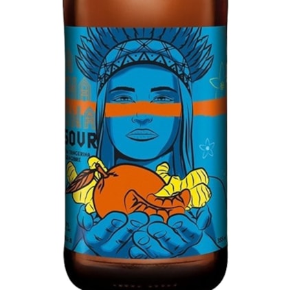 Imagem de Cerveja Dama Bier Catharina Sour Fruit Tangerina e Gengibre Garrafa 355ml