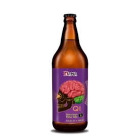 Cerveja Dama Bier QI Garrafa 600ml