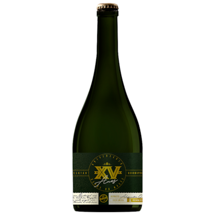 Imagem de Cerveja de XV anos Belgian Quadrupel Garrafa 750ml