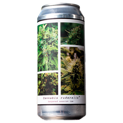 Cerveja Greenhouse Cannabis Ruderalis Terpened Session IPA Lata 473ml Imagem de Cerveja Greenhouse Cannabis Ruderalis Terpened Session IPA Lata 473ml