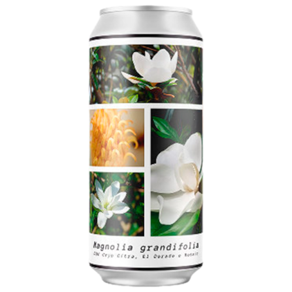 Cerveja Greenhouse Magnolia Grandifolia Session IPA Lata 473ml Imagem de Cerveja Greenhouse Magnolia Grandifolia Session IPA Lata 473ml