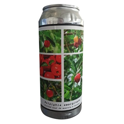 Imagem de Cerveja Greenhouse Malpighia emarginata Fruited Sour Lata 473ml
