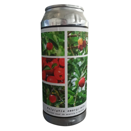 Cerveja Greenhouse Malpighia emarginata Fruited Sour Lata 473ml Imagem de Cerveja Greenhouse Malpighia emarginata Fruited Sour Lata 473ml