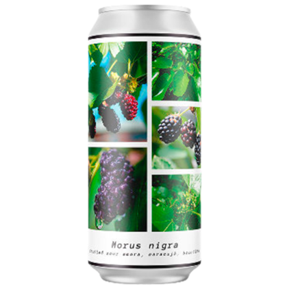 Cerveja Greenhouse Morus Nigra Sour Lata 473ml Imagem de Cerveja Greenhouse Morus Nigra Sour Lata 473ml