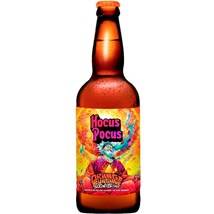 Cerveja Hocus Pocus Orange Sunshine Garrafa 500ml