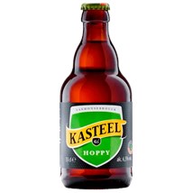 Cerveja Kasteel Hoppy Belgian Blond Ale Garrafa 330ml