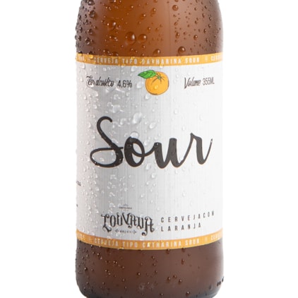 Cerveja Louvada Catharina Sour Laranja Garrafa 355ml Imagem de Cerveja Louvada Catharina Sour Laranja Garrafa 355ml