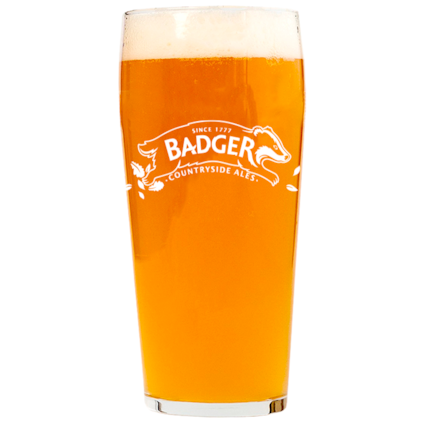 Imagem de Copo de Cerveja Badger 500ml