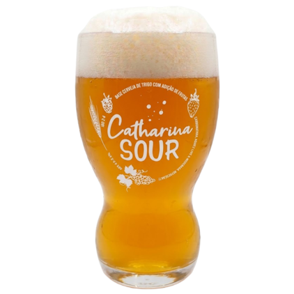Imagem de Copo de Cerveja Catharina Sour 365ml
