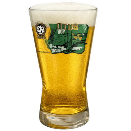 Copo de Cerveja Coruja Otus Hop 300ml