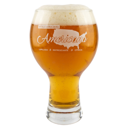 Imagem de Copo de Cerveja Escola Cervejeira Americana 300ml