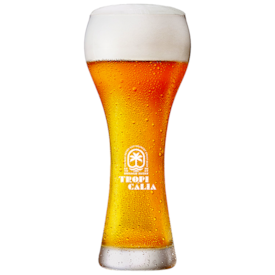 Copo de Cerveja Tropicália 500ml