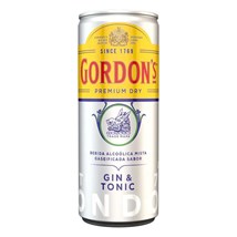 Gin Tônica Gordons Lata 269ml