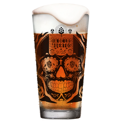 Imagem de Kit Caveira Beer Box - Compre 5 e Leve 6 + 2 Copos