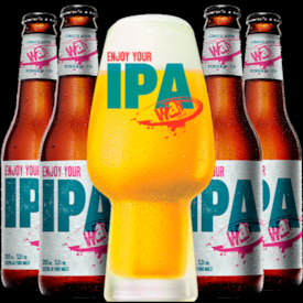 Kit Cerveja Way Beer IPA - Compre 4 e Ganhe Copo