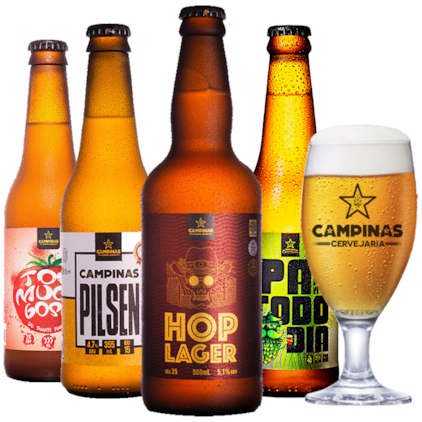 Imagem de Kit Cervejas Campinas - Taça Grátis