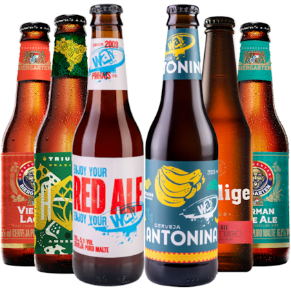 Imagem de Kit Cervejas Maltadas - Compre 4 Leve 6