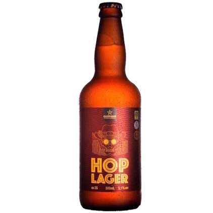 Imagem de Kit de Cervejas Campinas - Compre 6 e Leve 8