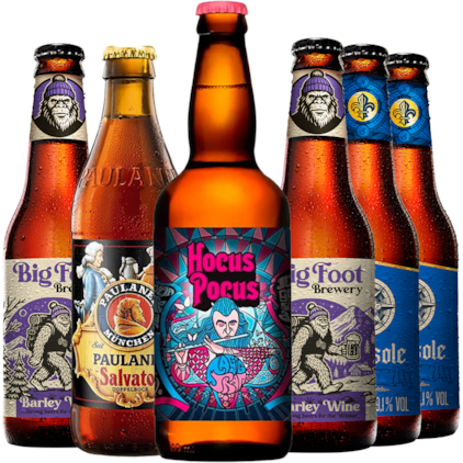 Imagem de Kit de Cervejas Complexas - Compre 4 e Leve 6