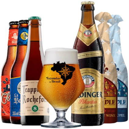 Imagem de Kit de Cervejas Complexas - Compre 5 e Leve 6 + Taça Gratis