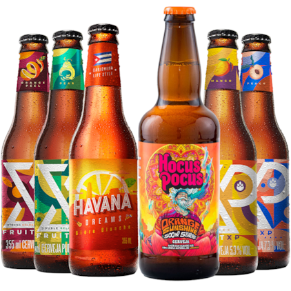 Imagem de Kit de Cervejas Frutadas - Compre 4 e Leve 6