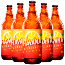 Kit de Cervejas Havana Dreams 600ml - Compre 4 Leve 5