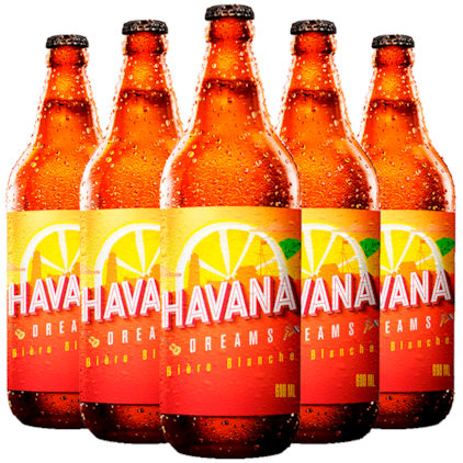 Kit de Cervejas Havana Dreams 600ml - Compre 4 Leve 5 Imagem de Kit de Cervejas Havana Dreams 600ml - Compre 4 Leve 5