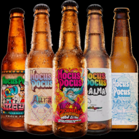 Kit de Cervejas Hocus Pocus Long Neck - 20% OFF