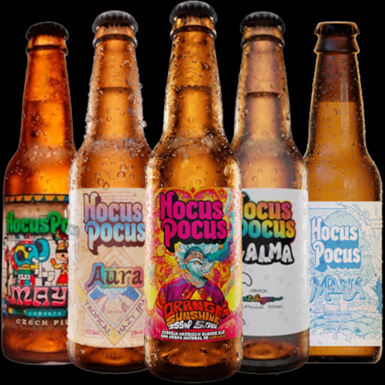 Imagem de Kit de Cervejas Hocus Pocus Long Neck - 20% OFF