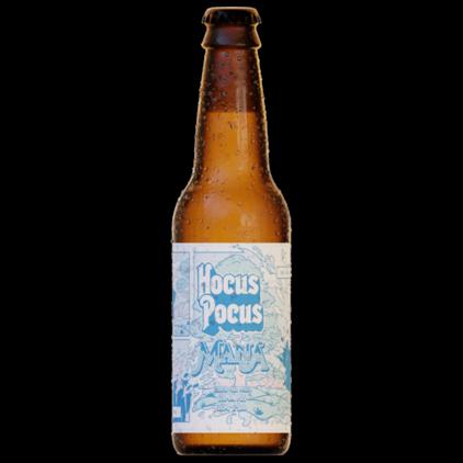 Imagem de Kit de Cervejas Hocus Pocus Long Neck - 20% OFF