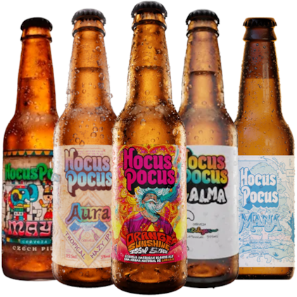 Imagem de Kit de Cervejas Hocus Pocus Long Neck - 20% OFF