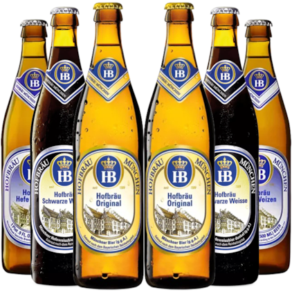 Imagem de Kit de Cervejas Hofbrau Prost - Compre 4 e Leve 6