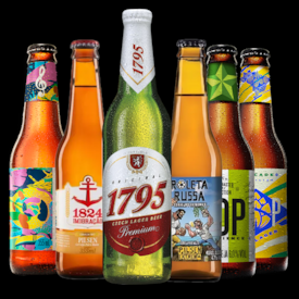 Kit de Cervejas Leves - Compre 4 e Leve 6