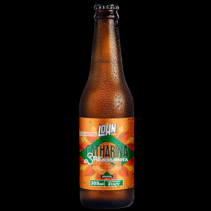 Imagem de Kit de Cervejas Lohn Bier Sour - Compre 3 e Leve 4