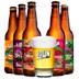 Kit de Cervejas Lohn Bier Sour - Compre 5 e Leve Copo Exclusivo