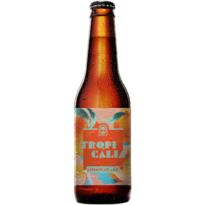 Imagem de Kit de Cervejas Lupuladas - Compre 6 e Ganhe Copo + Abridor