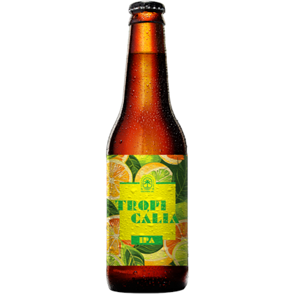 Imagem de Kit de Cervejas Lupuladas - Compre 6 e Ganhe Copo + Abridor