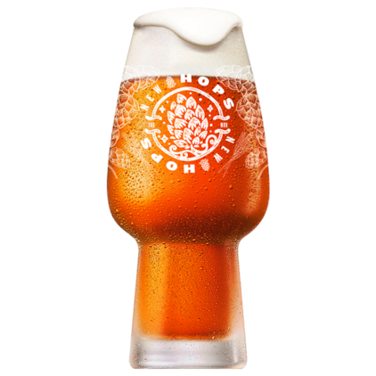 Imagem de Kit de Cervejas Lupuladas - Compre 6 e Ganhe Copo + Abridor