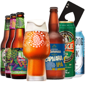 Kit de Cervejas Lupuladas - Compre 6 e Ganhe Copo + Abridor