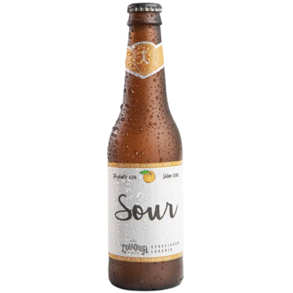 Imagem de Kit Seleção de Cervejas Louvada Com 2 Copos Grátis