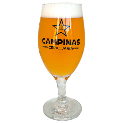 Imagem de Taça de Cerveja Campinas 310ml