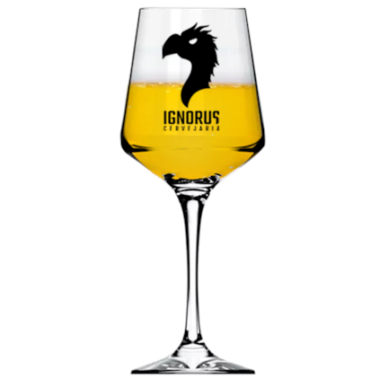 Imagem de Taça de Cerveja Ignorus 430ml