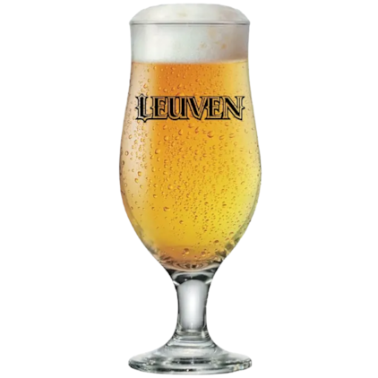 Imagem de Taça de Cerveja Leuven 260ml
